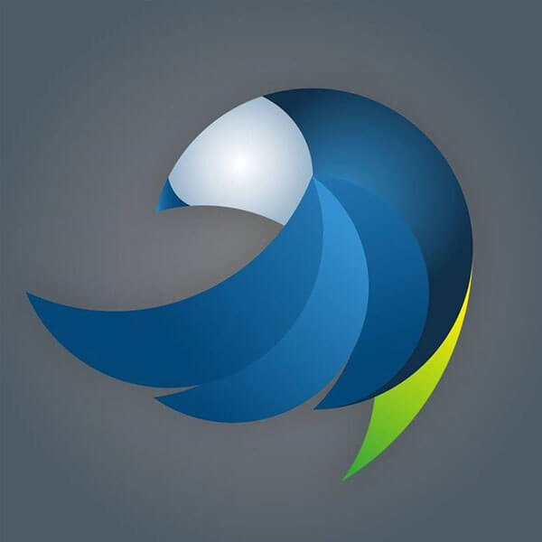 Abstract Logo Design
